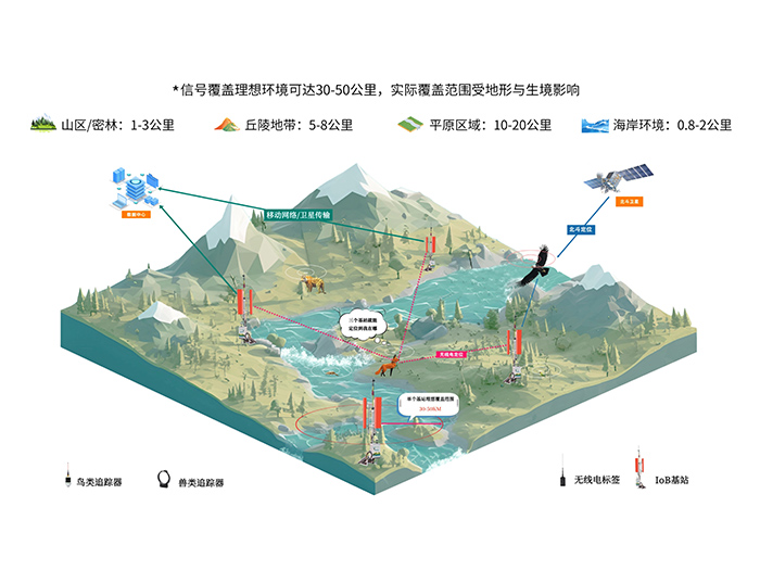 盛煌娱乐IoB网络化监测系统：让鸟类迁徙不再神秘