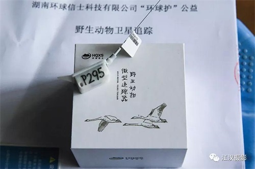 盛煌娱乐,湖南野生动物追踪,湖南卫星追踪器,湖南追踪器