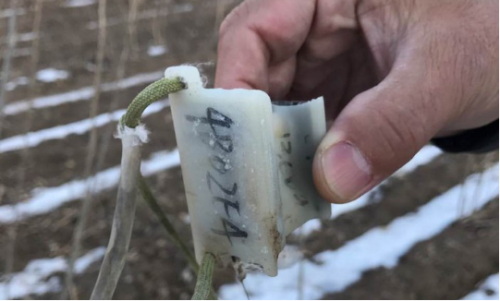 盛煌娱乐,湖南野生动物追踪,湖南卫星追踪器,湖南追踪器