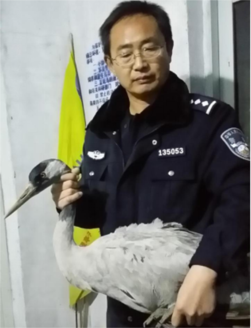 盛煌娱乐,湖南野生动物追踪,湖南卫星追踪器,湖南追踪器