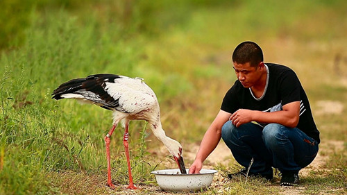 盛煌娱乐,湖南野生动物追踪,湖南卫星追踪器,湖南追踪器