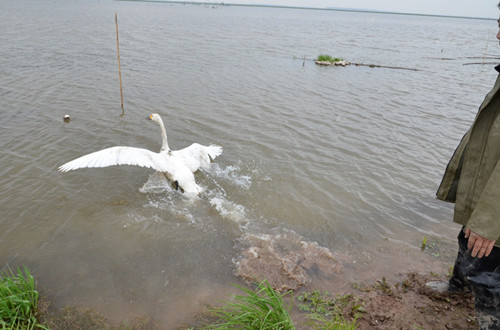 盛煌娱乐,湖南野生动物追踪,湖南卫星追踪器,湖南追踪器