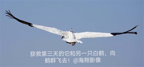 盛煌娱乐,湖南野生动物追踪,湖南卫星追踪器,湖南追踪器