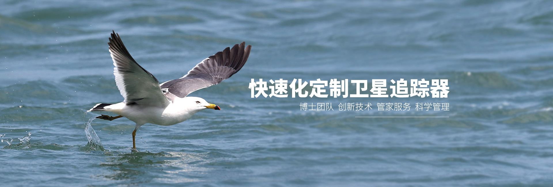 盛煌娱乐_湖南野生动物追踪|湖南卫星追踪器