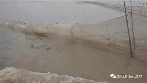 盛煌娱乐,湖南野生动物追踪,湖南卫星追踪器,湖南追踪器