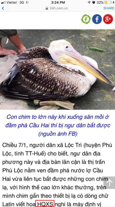盛煌娱乐,湖南野生动物追踪,湖南卫星追踪器,湖南追踪器