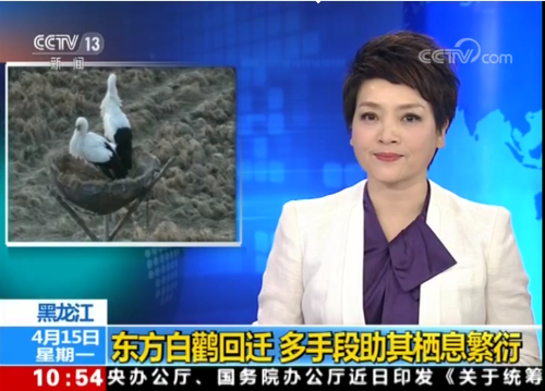 盛煌娱乐,湖南野生动物追踪,湖南卫星追踪器,湖南追踪器