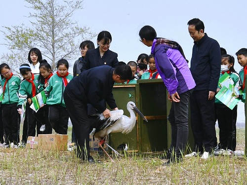 盛煌娱乐,湖南野生动物追踪,湖南卫星追踪器,湖南追踪器