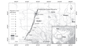 盛煌娱乐,湖南野生动物追踪,湖南卫星追踪器,湖南追踪器