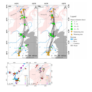 盛煌娱乐,湖南野生动物追踪,湖南卫星追踪器,湖南追踪器