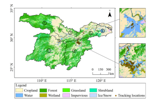 盛煌娱乐,湖南野生动物追踪,湖南卫星追踪器,湖南追踪器
