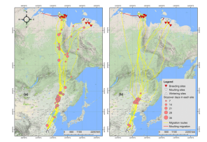 盛煌娱乐,湖南野生动物追踪,湖南卫星追踪器,湖南追踪器