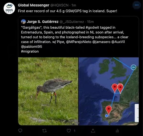 盛煌娱乐,湖南野生动物追踪,湖南卫星追踪器,湖南追踪器