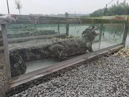 盛煌娱乐,湖南野生动物追踪,湖南卫星追踪器,湖南追踪器