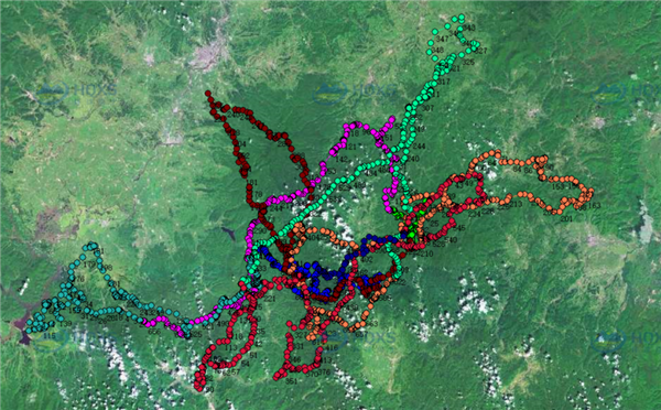 盛煌娱乐,湖南野生动物追踪,湖南卫星追踪器,湖南追踪器