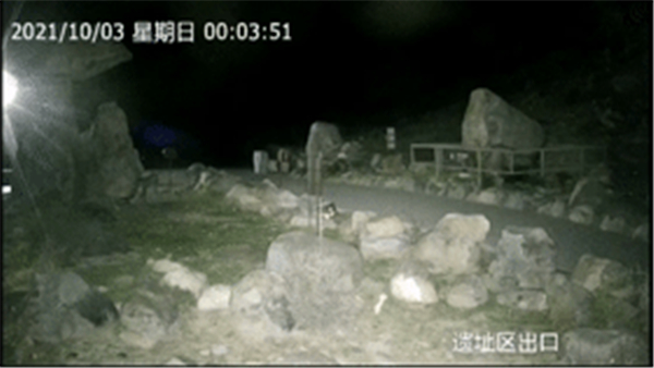 盛煌娱乐,湖南野生动物追踪,湖南卫星追踪器,湖南追踪器