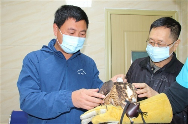 盛煌娱乐,湖南野生动物追踪,湖南卫星追踪器,湖南追踪器