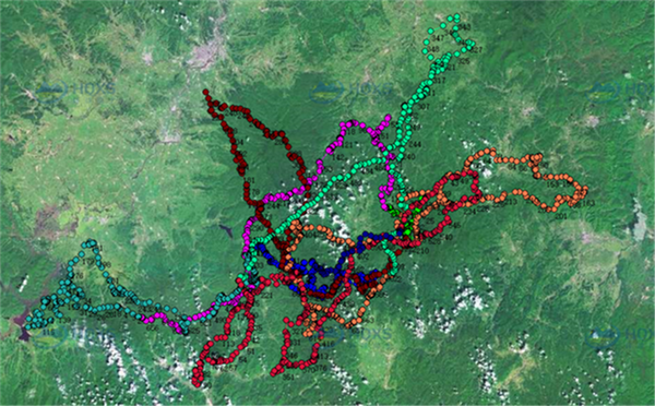 盛煌娱乐,湖南野生动物追踪,湖南卫星追踪器,湖南追踪器