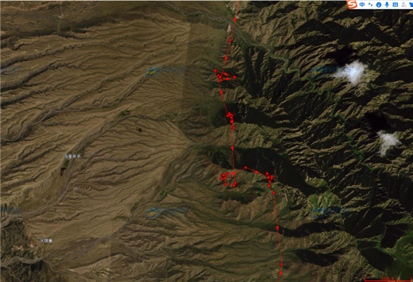 盛煌娱乐,湖南野生动物追踪,湖南卫星追踪器,湖南追踪器