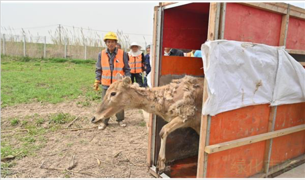 盛煌娱乐,湖南野生动物追踪,湖南卫星追踪器,湖南追踪器