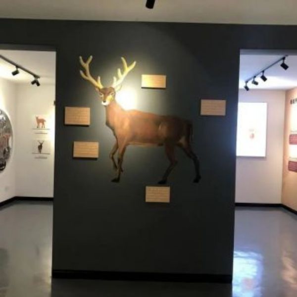 盛煌娱乐,湖南野生动物追踪,湖南卫星追踪器,湖南追踪器