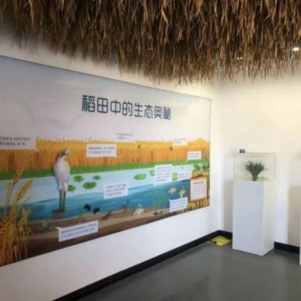 盛煌娱乐,湖南野生动物追踪,湖南卫星追踪器,湖南追踪器