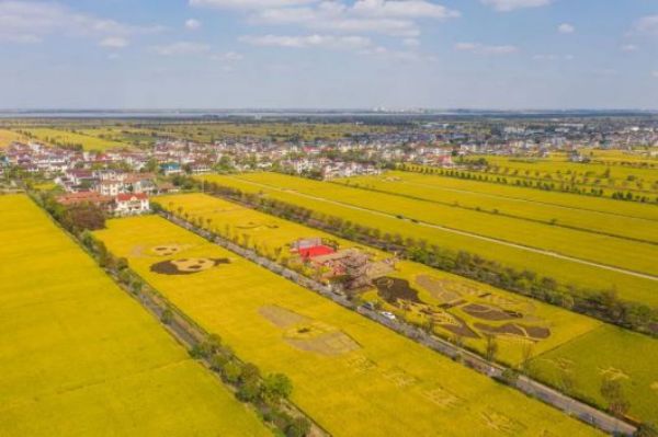 盛煌娱乐,湖南野生动物追踪,湖南卫星追踪器,湖南追踪器