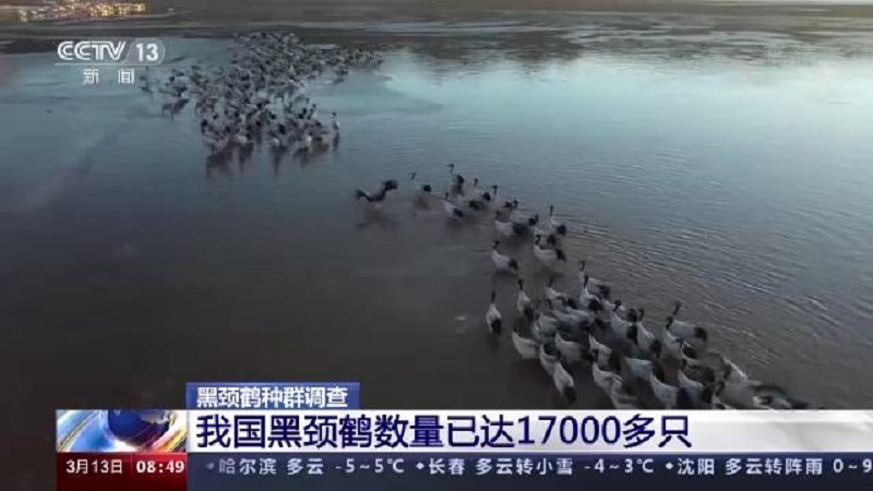 盛煌娱乐,湖南野生动物追踪,湖南卫星追踪器,湖南追踪器