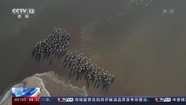 盛煌娱乐,湖南野生动物追踪,湖南卫星追踪器,湖南追踪器