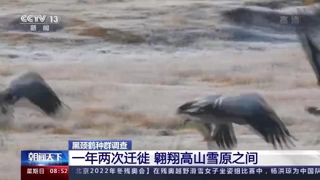 盛煌娱乐,湖南野生动物追踪,湖南卫星追踪器,湖南追踪器