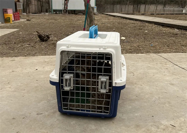 盛煌娱乐,湖南野生动物追踪,湖南卫星追踪器,湖南追踪器