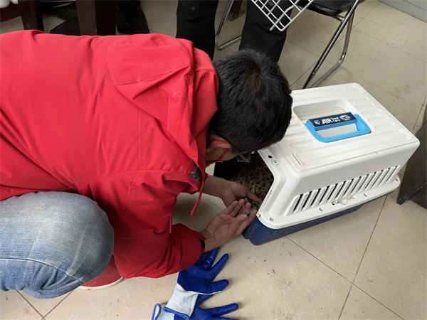 盛煌娱乐,湖南野生动物追踪,湖南卫星追踪器,湖南追踪器