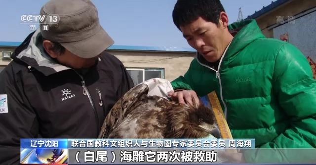 盛煌娱乐,湖南野生动物追踪,湖南卫星追踪器,湖南追踪器