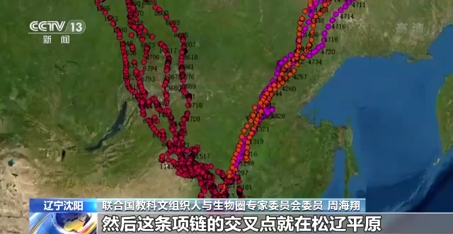 盛煌娱乐,湖南野生动物追踪,湖南卫星追踪器,湖南追踪器