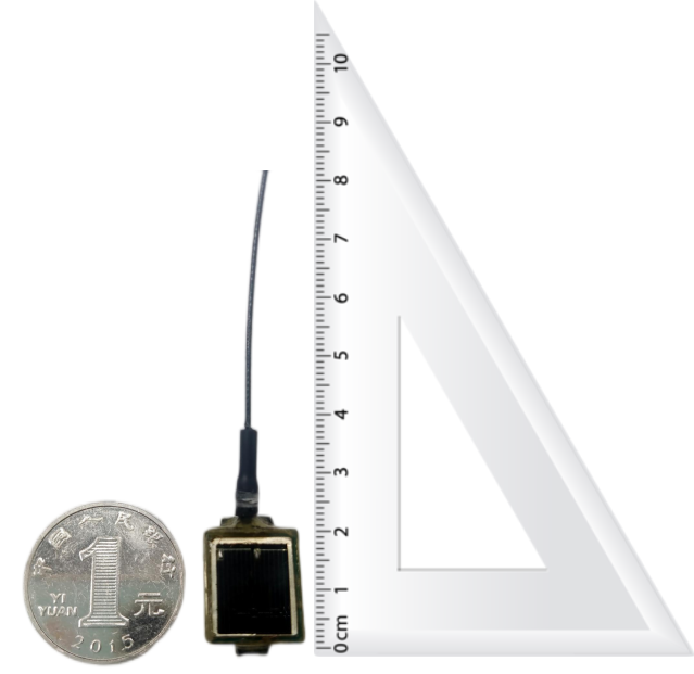 盛煌娱乐,湖南野生动物追踪,湖南卫星追踪器,湖南追踪器