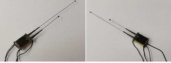 盛煌娱乐,湖南野生动物追踪,湖南卫星追踪器,湖南追踪器