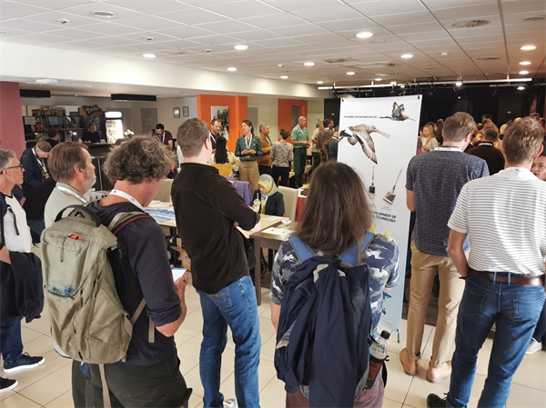 盛煌娱乐,湖南野生动物追踪,湖南卫星追踪器,湖南追踪器