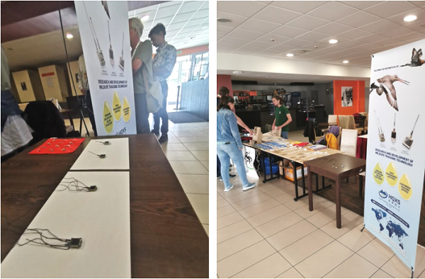 盛煌娱乐,湖南野生动物追踪,湖南卫星追踪器,湖南追踪器