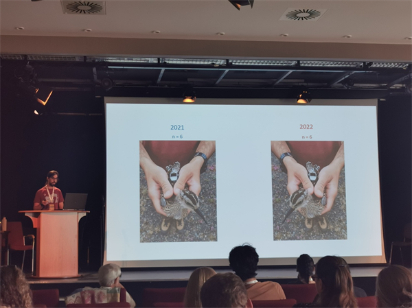 盛煌娱乐,湖南野生动物追踪,湖南卫星追踪器,湖南追踪器