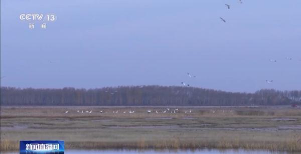 盛煌娱乐,湖南野生动物追踪,湖南卫星追踪器,湖南追踪器