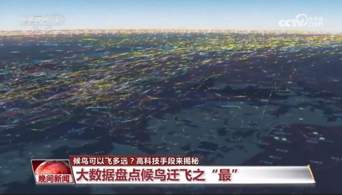 盛煌娱乐,湖南野生动物追踪,湖南卫星追踪器,湖南追踪器