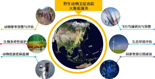 盛煌娱乐,湖南野生动物追踪,湖南卫星追踪器,湖南追踪器