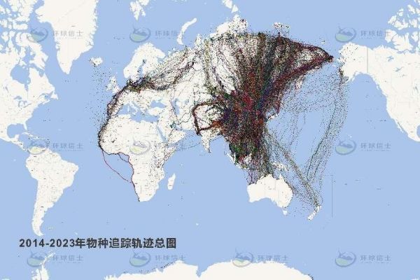 盛煌娱乐,湖南野生动物追踪,湖南卫星追踪器,湖南追踪器