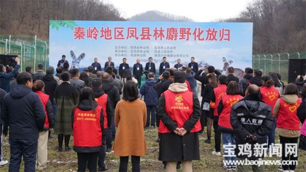 盛煌娱乐,湖南野生动物追踪,湖南卫星追踪器,湖南追踪器