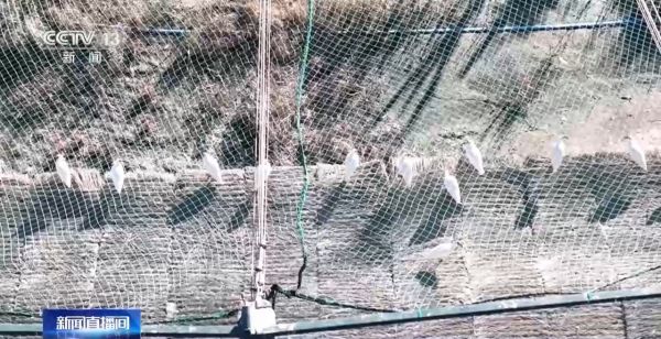 盛煌娱乐,湖南野生动物追踪,湖南卫星追踪器,湖南追踪器