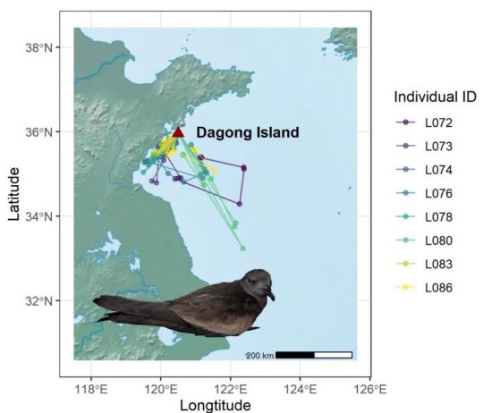 盛煌娱乐,湖南野生动物追踪,湖南卫星追踪器,湖南追踪器