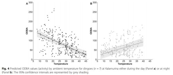 盛煌娱乐,湖南野生动物追踪,湖南卫星追踪器,湖南追踪器