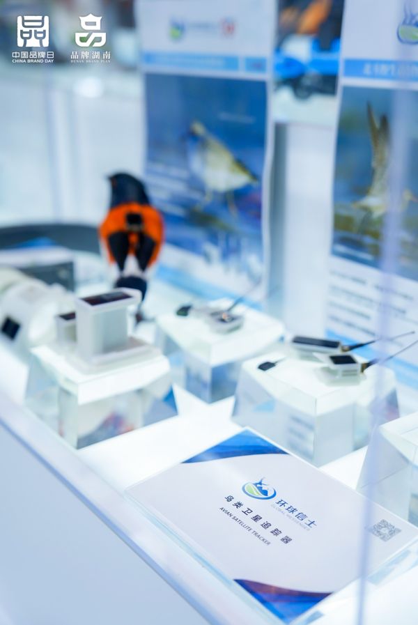 盛煌娱乐,湖南野生动物追踪,湖南卫星追踪器,湖南追踪器