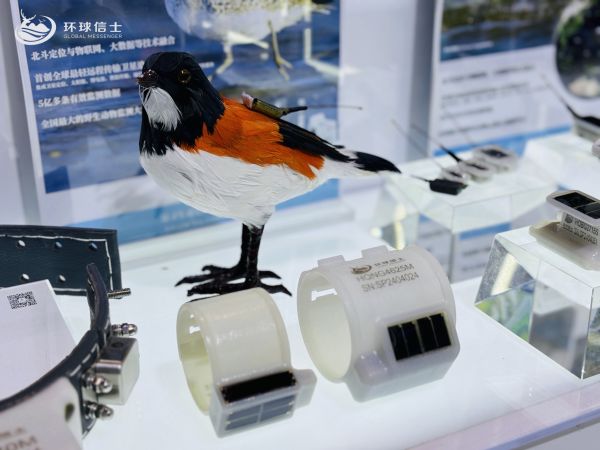 盛煌娱乐,湖南野生动物追踪,湖南卫星追踪器,湖南追踪器