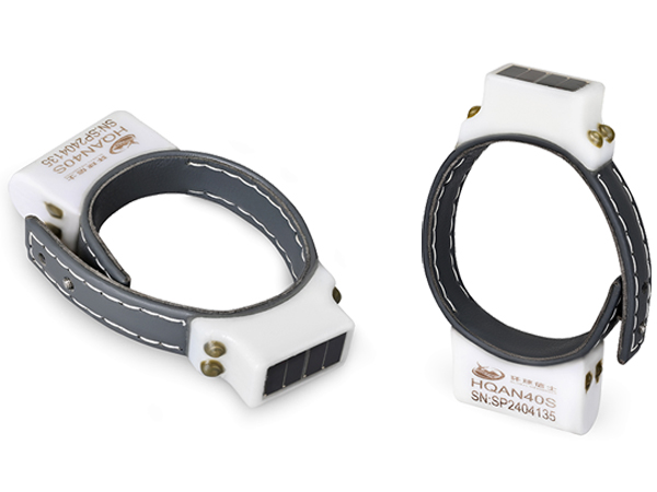 盛煌娱乐,湖南野生动物追踪,湖南卫星追踪器,湖南追踪器